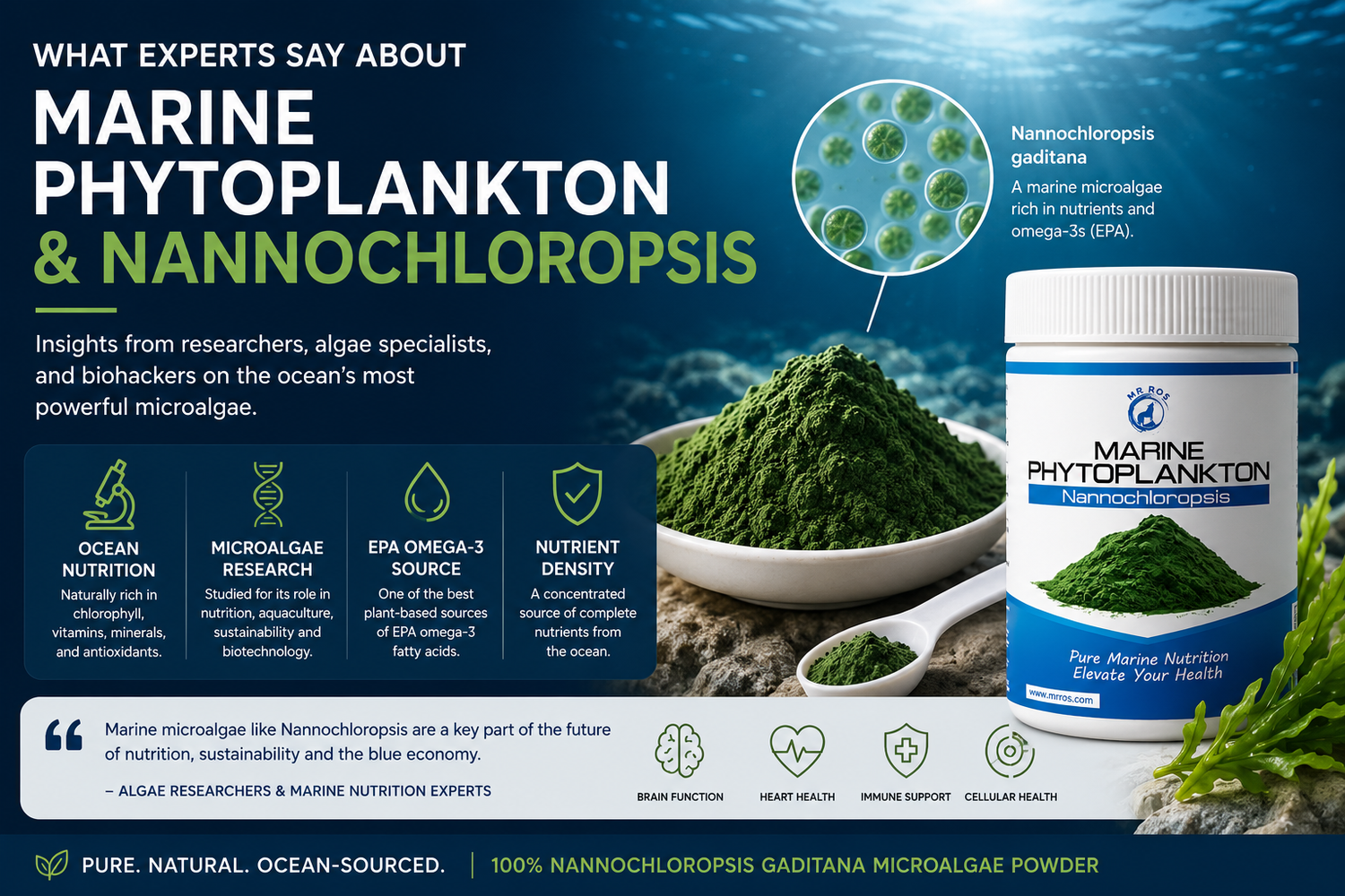 Expert marine phytoplankton educational image showing Nannochloropsis microalgae, ocean nutrition research, chlorophyll-rich algae, EPA omega-3s, and nutrient-dense marine superfoods.
