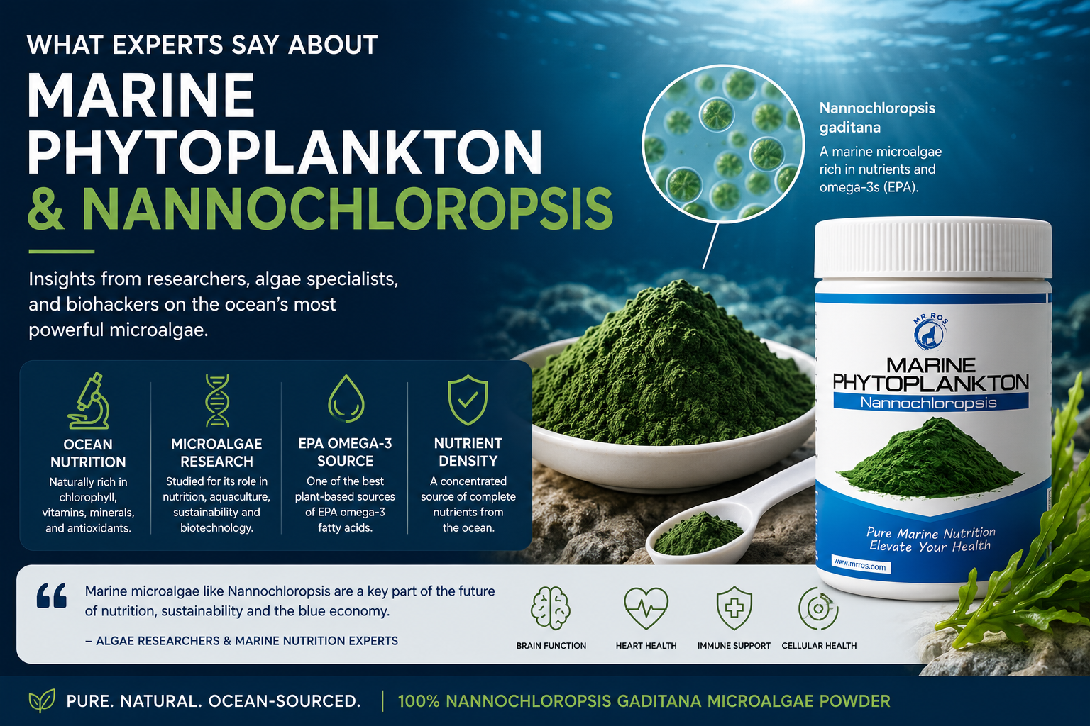 Expert marine phytoplankton educational image showing Nannochloropsis microalgae, ocean nutrition research, chlorophyll-rich algae, EPA omega-3s, and nutrient-dense marine superfoods.