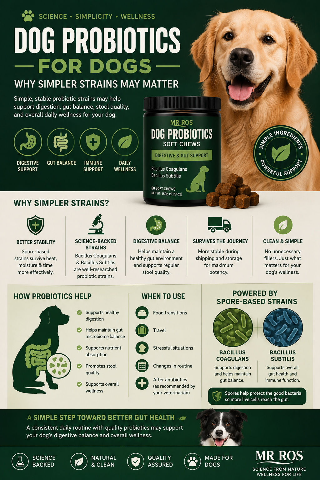 Dog probiotics ingredients infographic featuring Bacillus coagulans, Bacillus subtilis, prebiotics, digestive enzymes, and gut health support for dogs