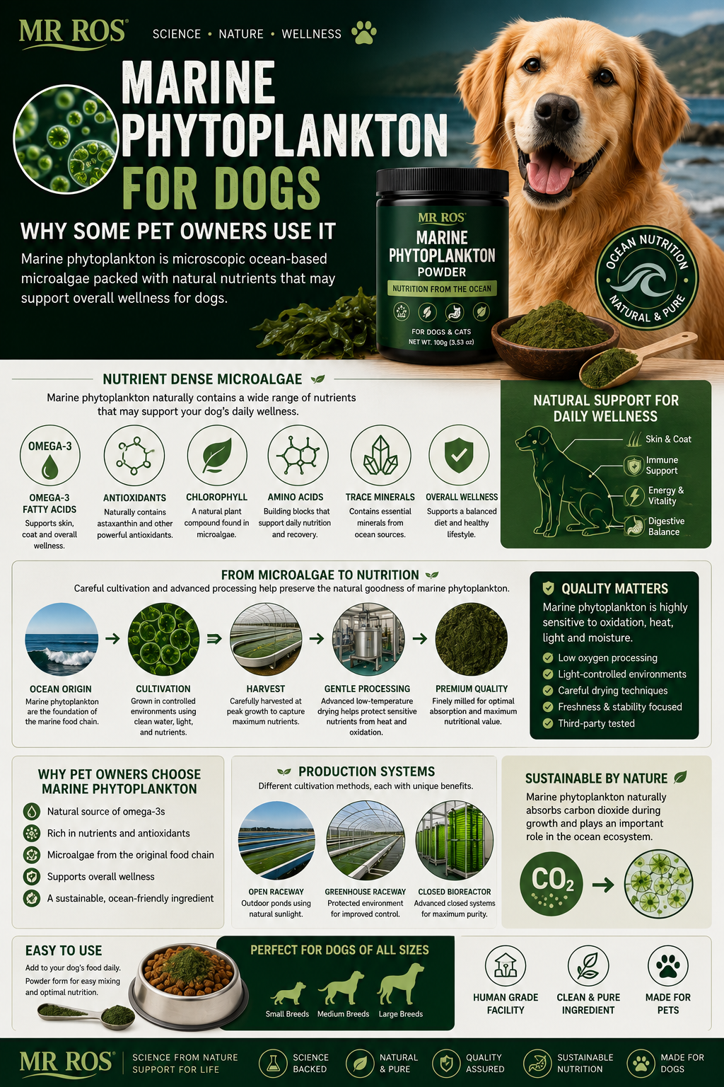 Marine phytoplankton for dogs infographic showing microalgae production, omega-3 nutrition, antioxidants, and pet wellness support