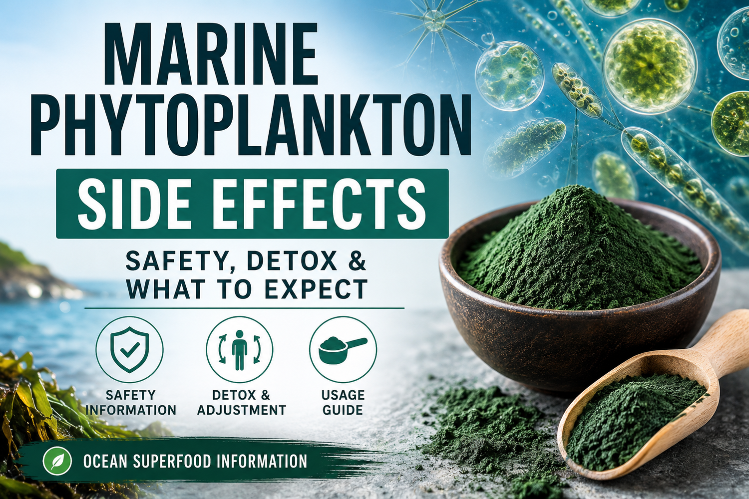 Marine phytoplankton side effects educational guide showing green marine phytoplankton powder with ocean background, safety information, detox guidance, and usage tips.