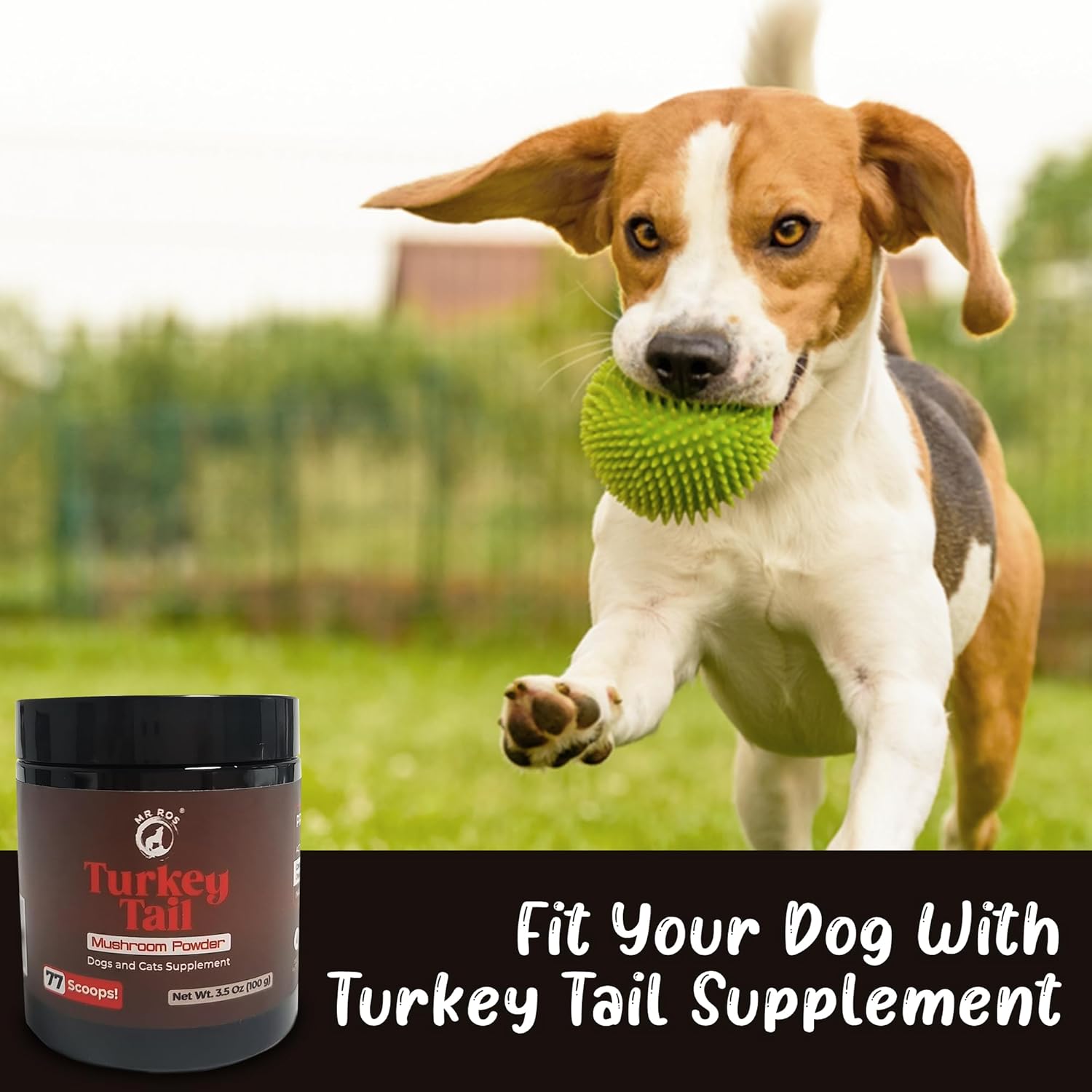 Natural Turkey Tail Mushroom Powder for Dogs - 3.5 oz (77 Scoops)