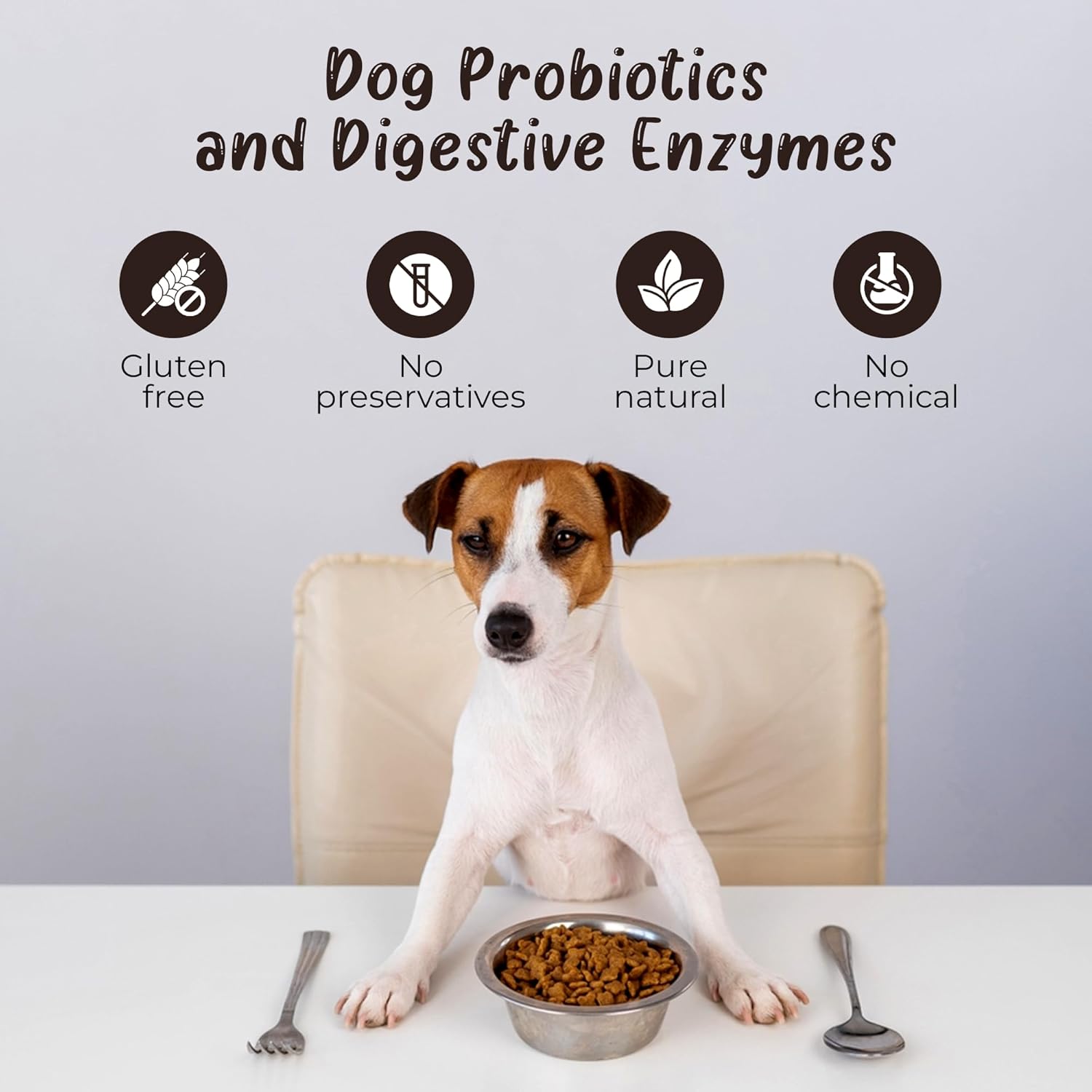 Natural Turkey Tail Mushroom Powder for Dogs - 3.5 oz (77 Scoops)