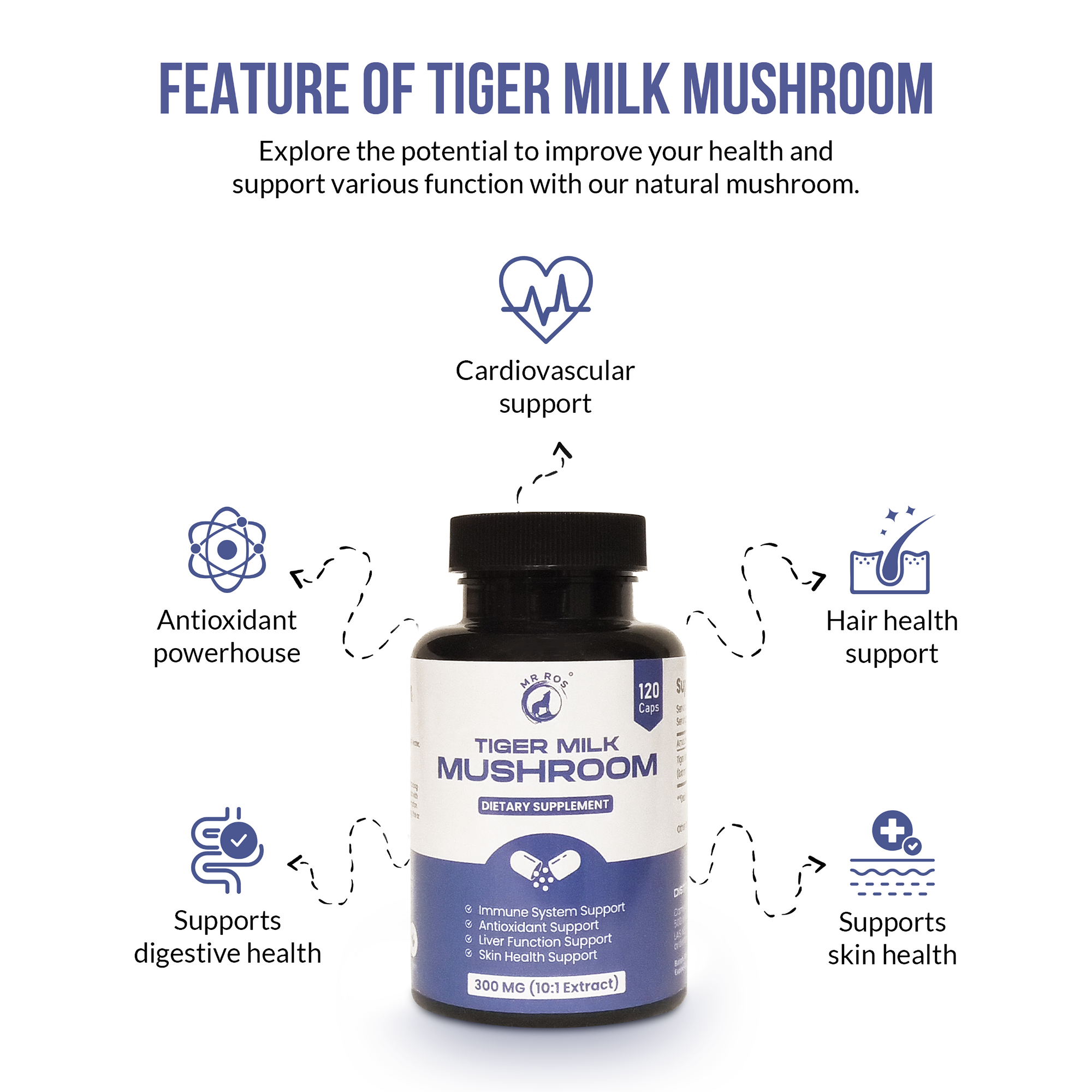 Infographic showing key health benefits of Tiger Milk Mushroom including immune support and antioxidant properties