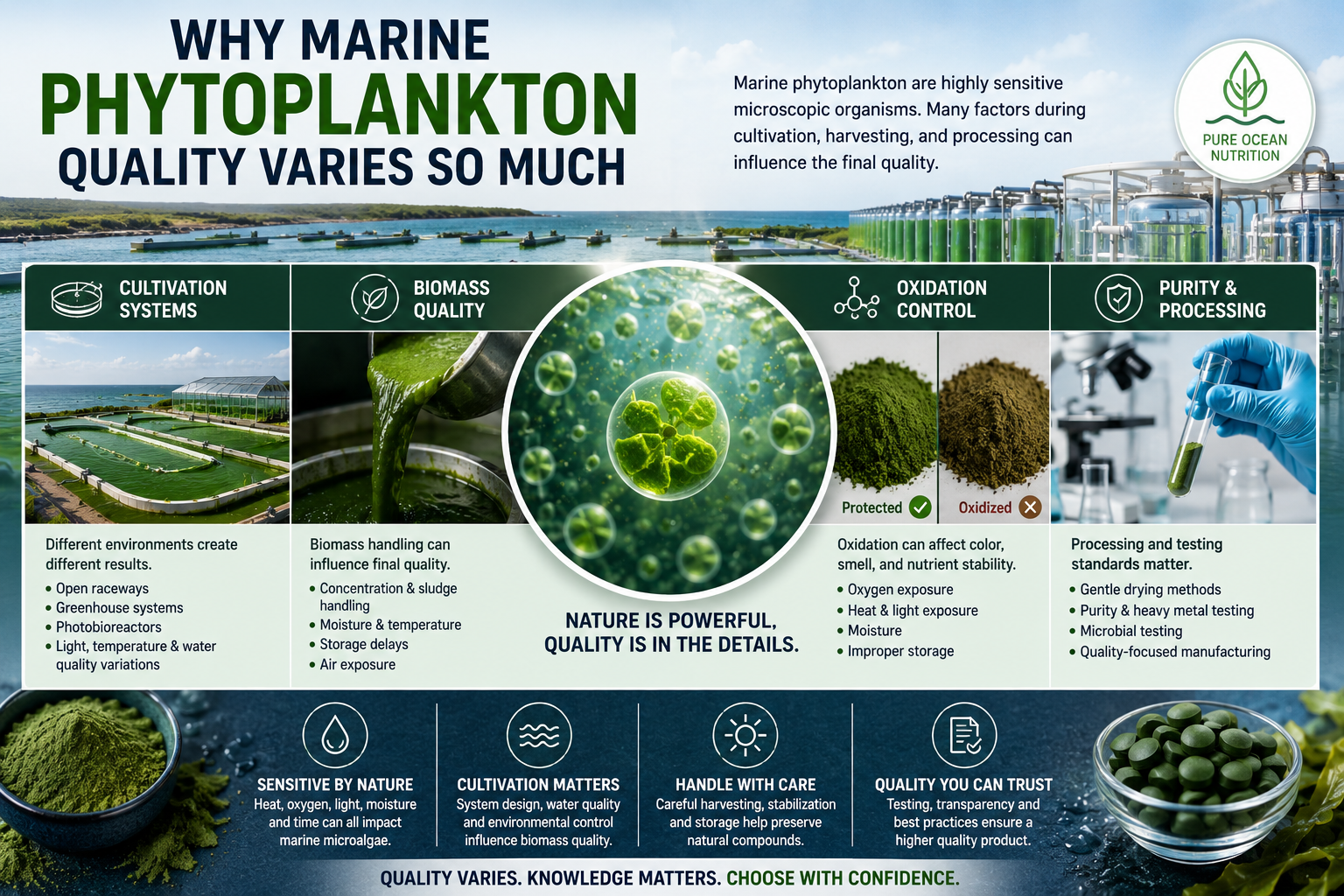 Marine phytoplankton quality educational image showing cultivation systems, biomass quality, oxidation control, algae processing, purity testing, and marine microalgae production methods.