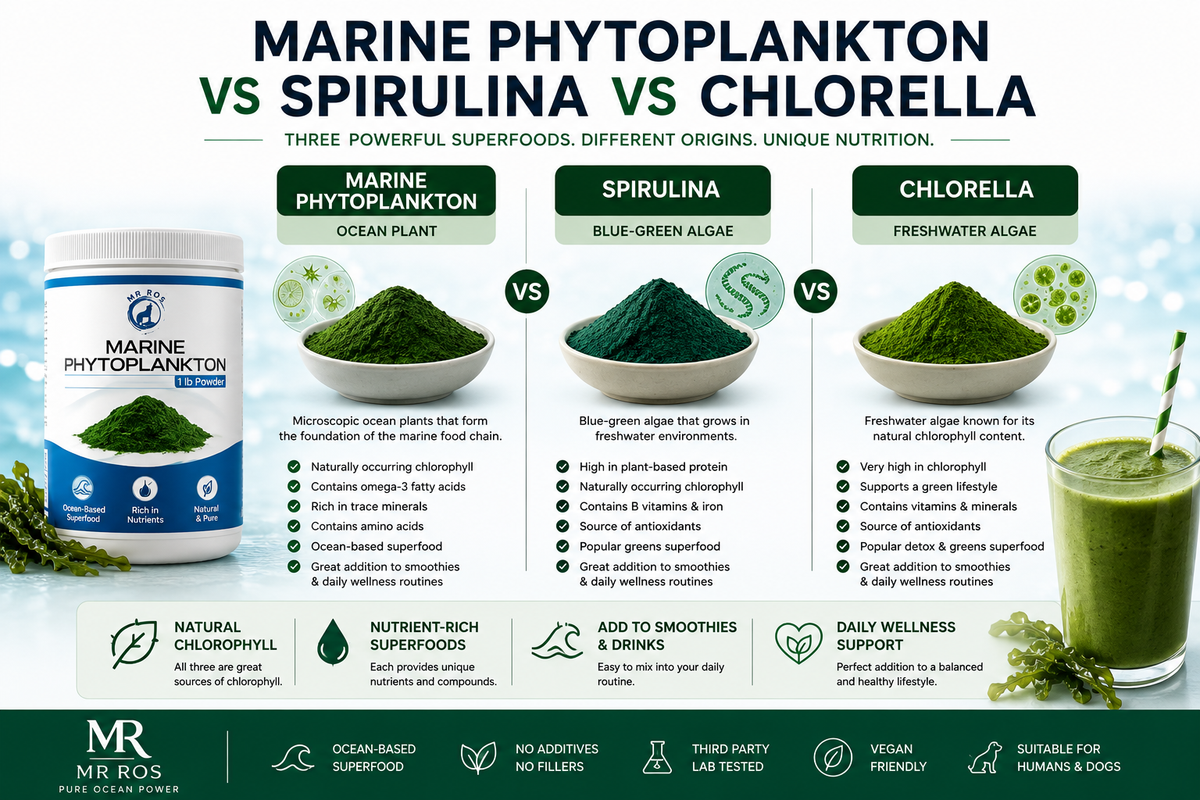 does spirulina & chlorella contain glutathione ORGANIC COMPLEX Spirulina and Chlorella Dietary SupplementsAre