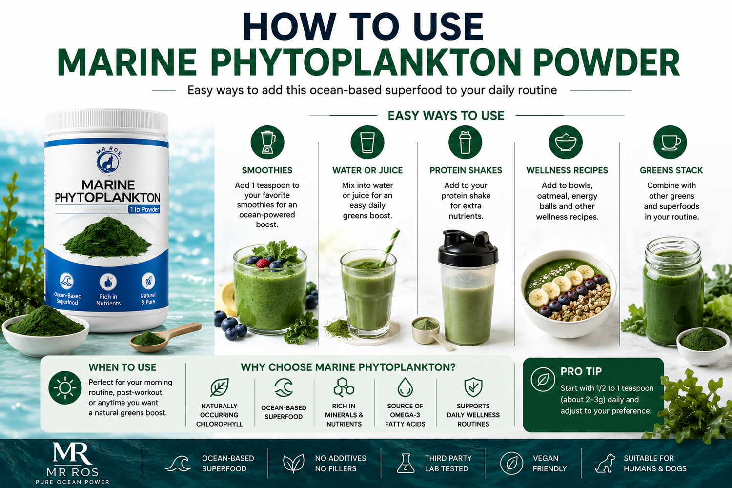 How to use marine phytoplankton powder in smoothies and wellness drinks infographic