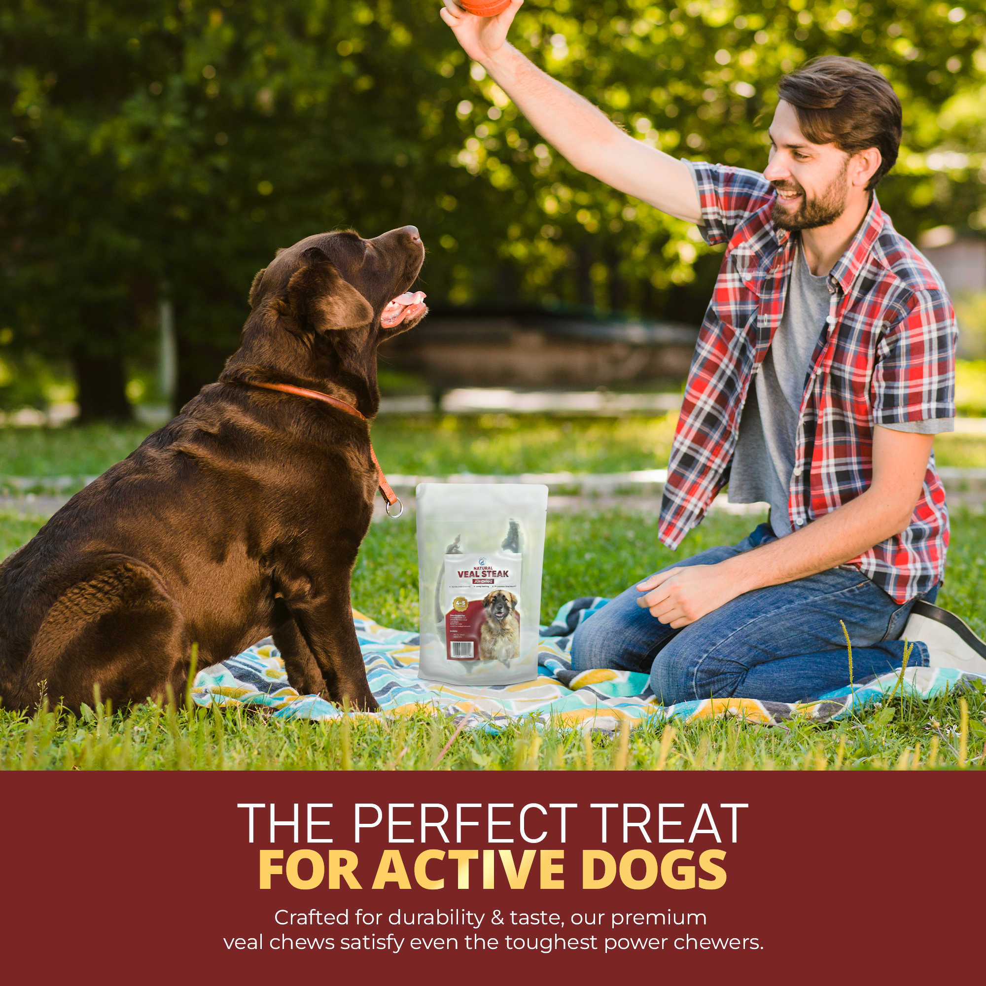 Air Dried Veal Steak Chews - Premium Dog Chews for Aggressive Chewers - Natural and Long Lasting Dog Treats for Dental Health - Healthy Treats for Power Chewer - (3.5 Oz, 4-5 Pieces)
