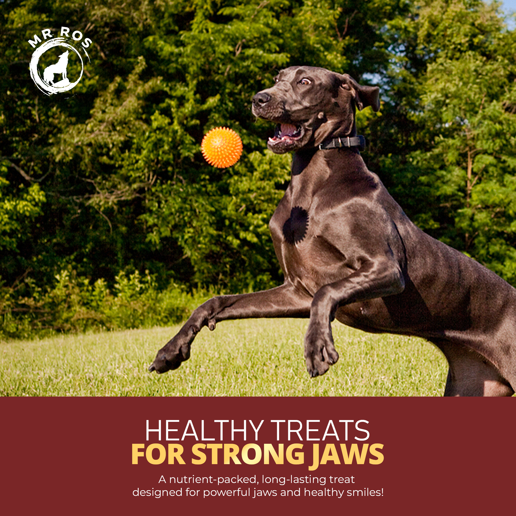 Air Dried Veal Steak Chews - Premium Dog Chews for Aggressive Chewers - Natural and Long Lasting Dog Treats for Dental Health - Healthy Treats for Power Chewer - (3.5 Oz, 4-5 Pieces)