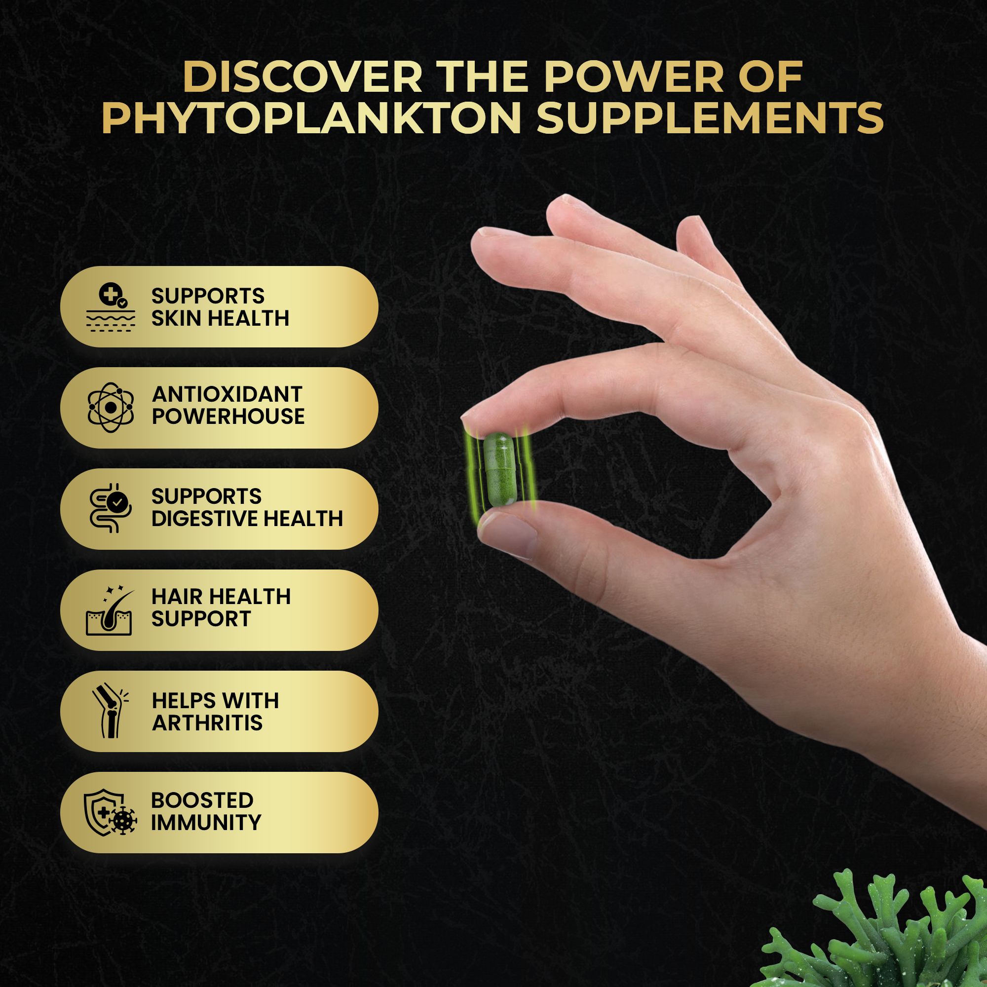 Mr Ros Marine Phytoplankton - 90 Caps | Energy, Recovery, Skin, Eyes, Immunity