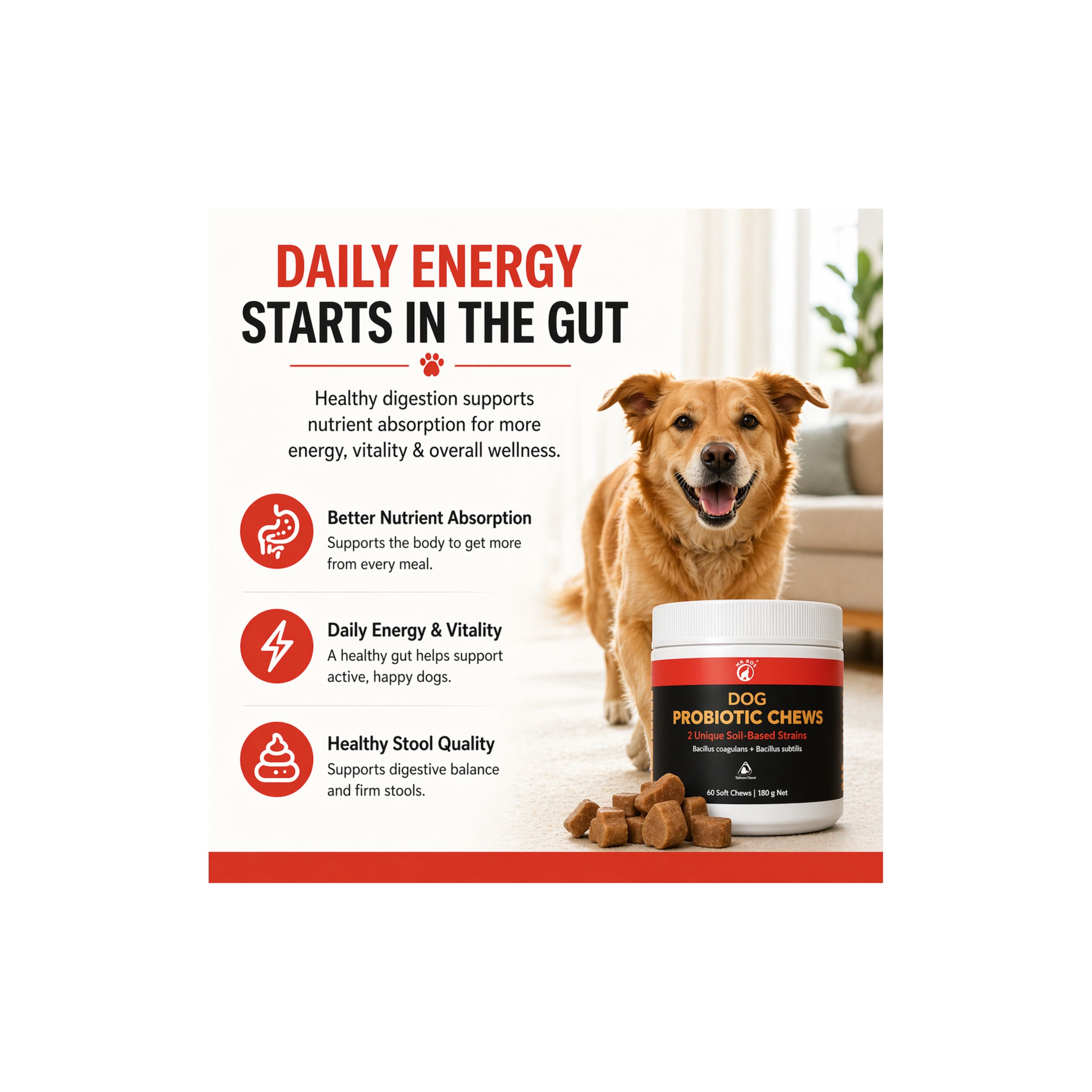 Dog Probiotic Chews – Gut Health & Digestion Support – 2 Soil-Based Strains – Bacillus Coagulans & Subtilis – Natural Salmon Flavor – 60 Soft Chews