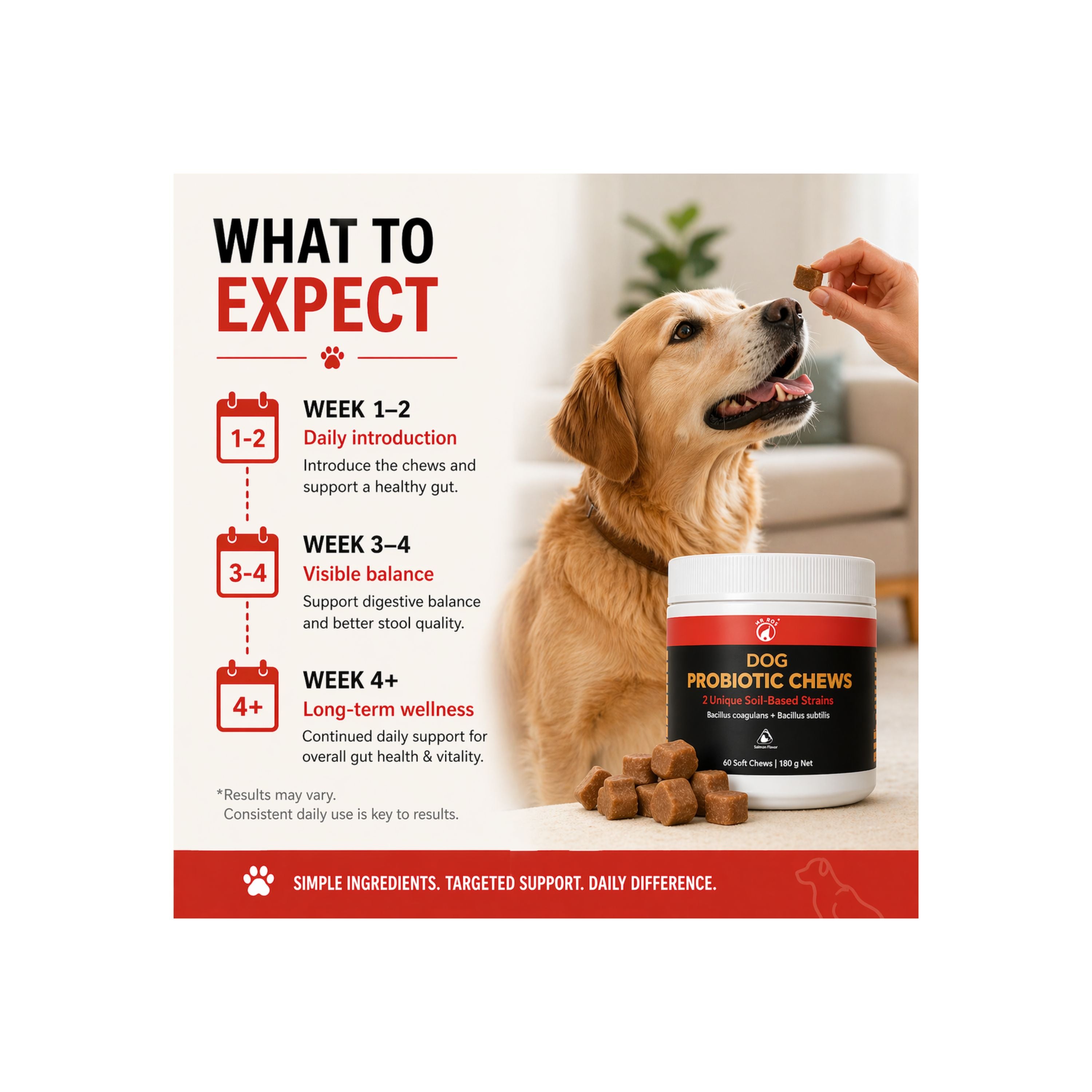 Dog Probiotic Chews – Gut Health & Digestion Support – 2 Soil-Based Strains – Bacillus Coagulans & Subtilis – Natural Salmon Flavor – 60 Soft Chews