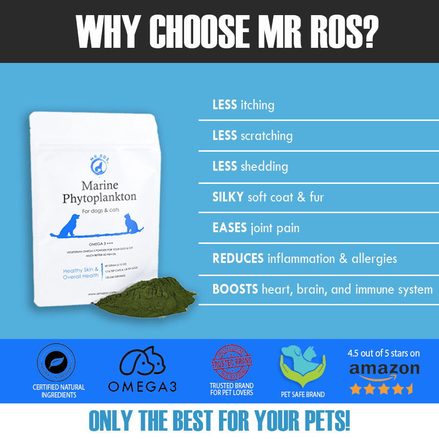 Marine Phytoplankton for dogs